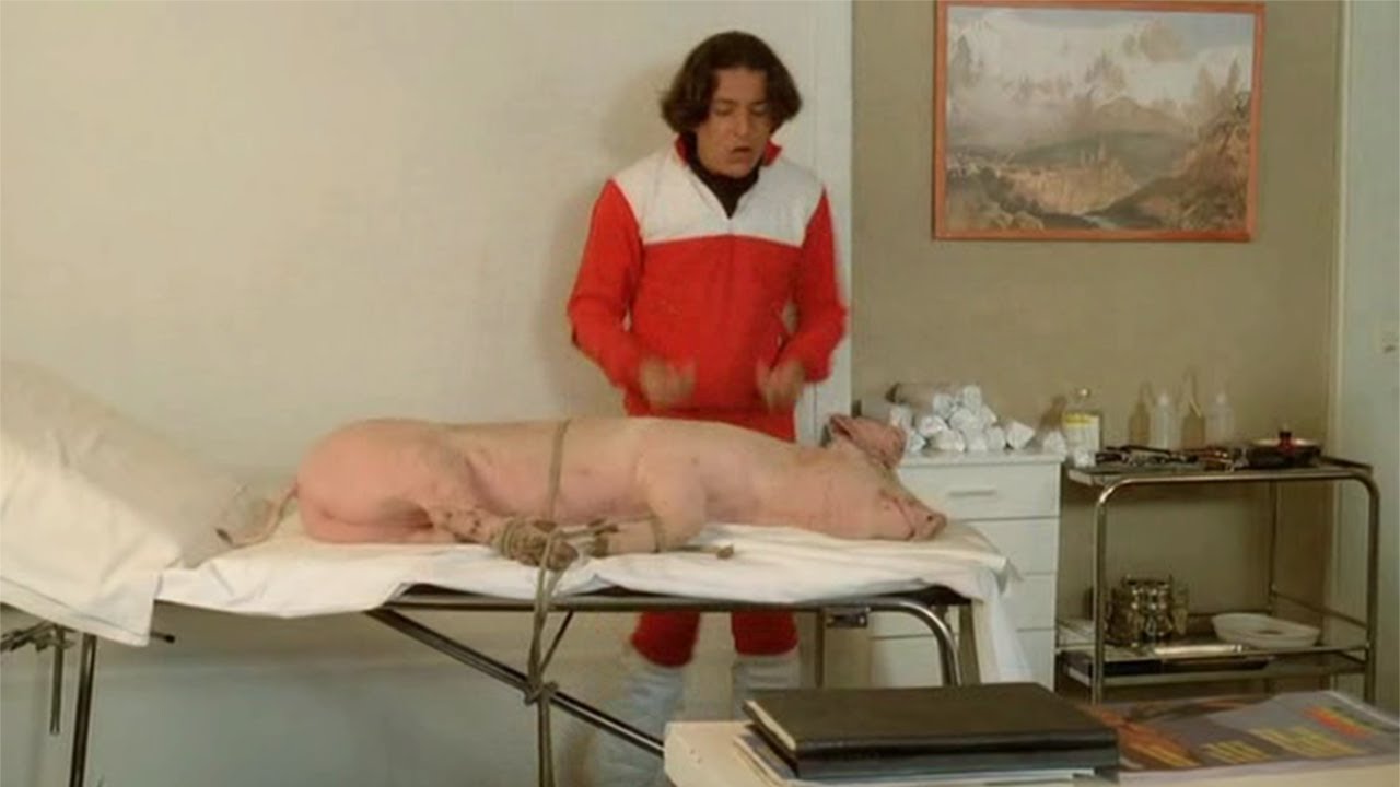 Copain comme cochon - Les bronzés font du ski