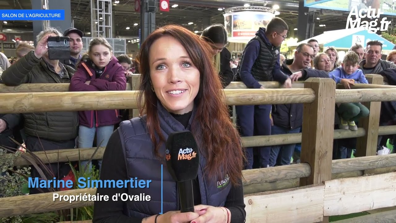 Salon de l'Agriculture : présentation d'Ovalie, la vache égérie 2023