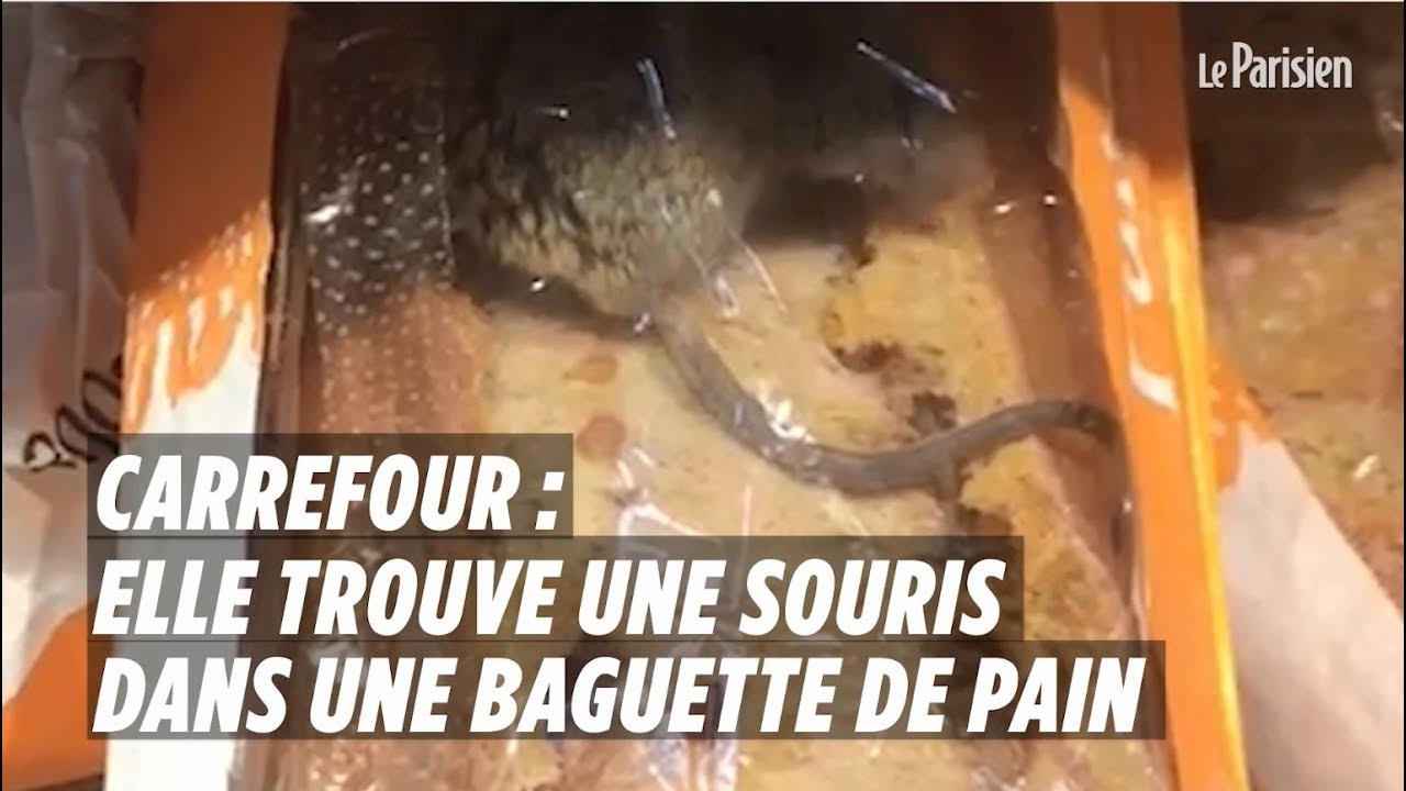 Carrefour : elle trouve une souris vivante dans sa baguette