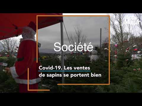 Covid-19. Malgré le confinement, les sapins ont la côte pour les fêtes de fin d'année