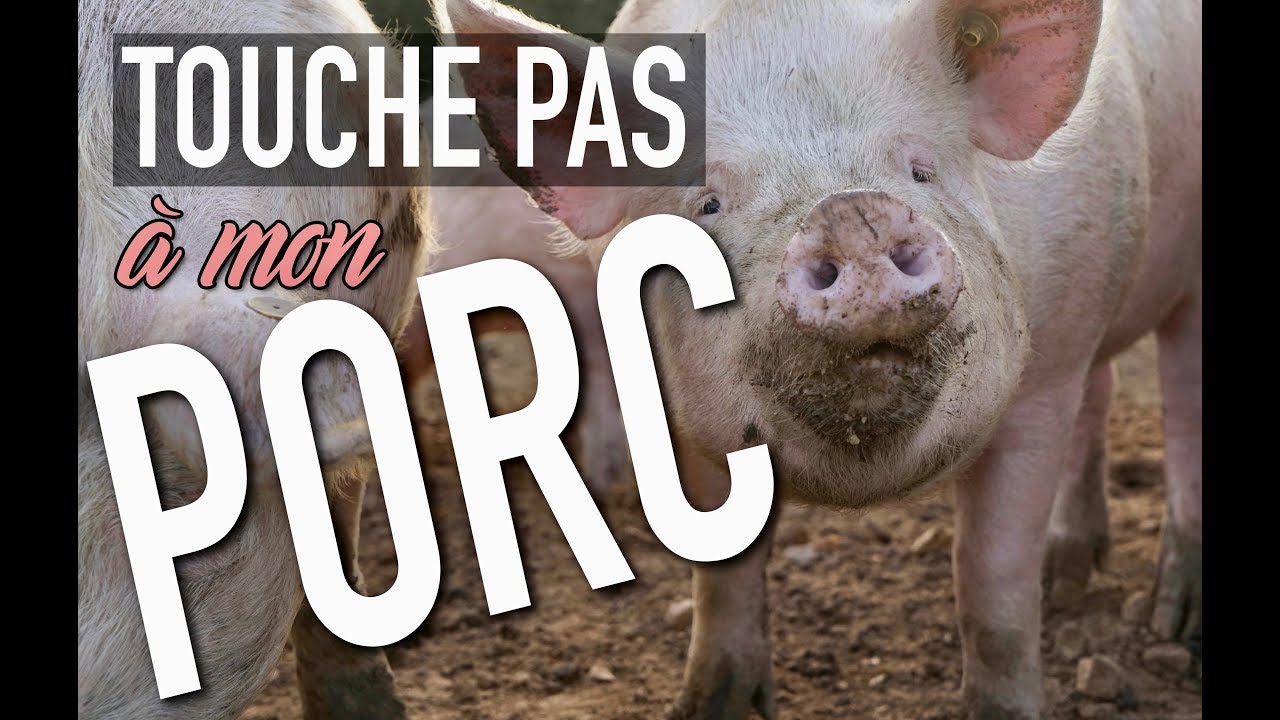 TOUCHE PAS À MON PORC