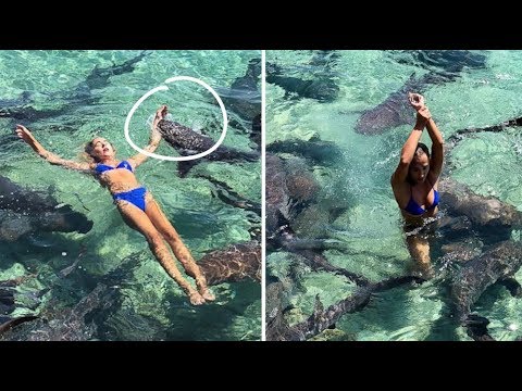 L'instagrameuse Katarina Zarutskie mordue par un requin en pleine séance photo