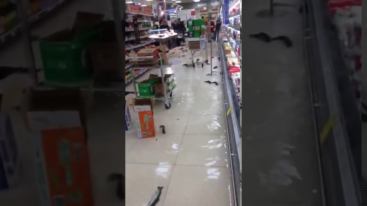 Fish swim on Carrefour supermarket hypermarket store floor in Tbilisi, Georgia viral video