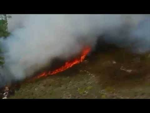 Afrique du Sud : de violents feux de brousse ravagent la péninsule du Cap