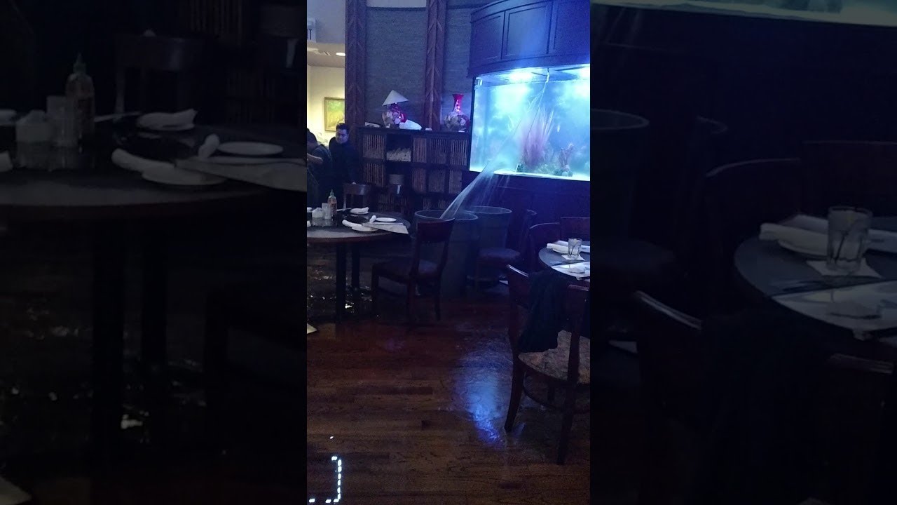 Giant Aquarium Cracks in Restaurant || ViralHog