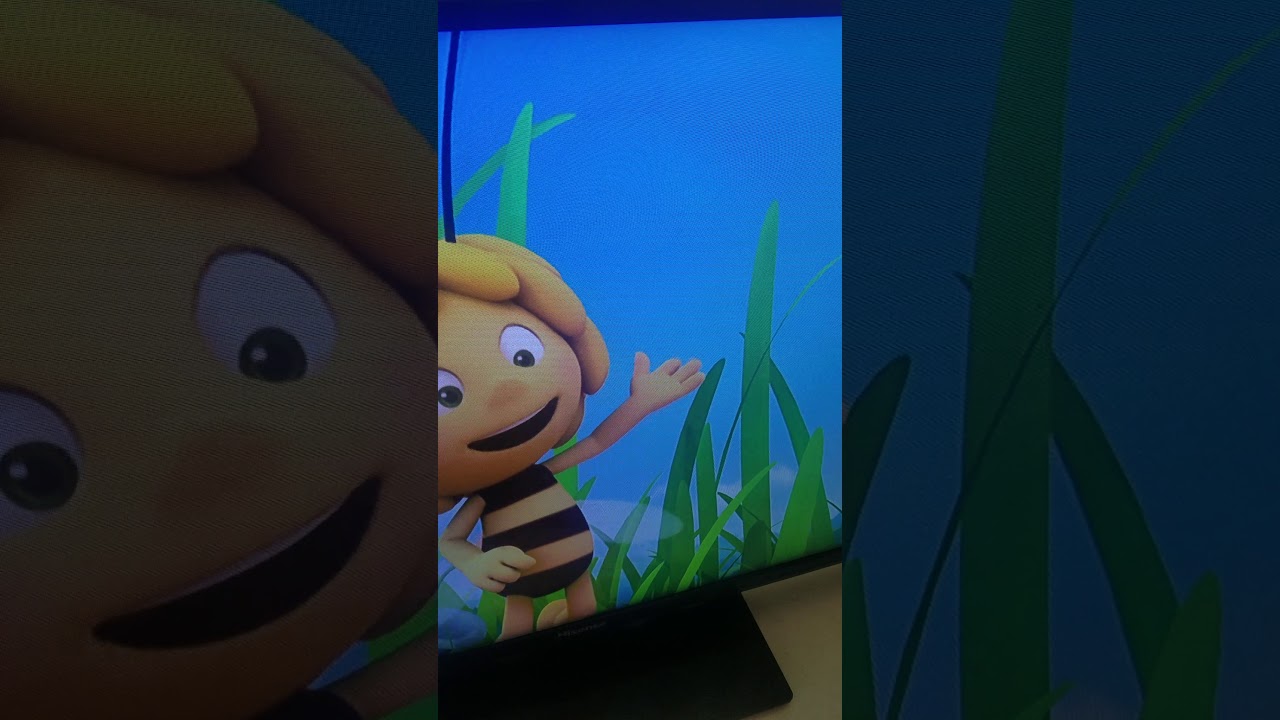 (THE ORIGINAL FIRST VIDEO) Hidden inappropriate drawing in Maya the Bee!