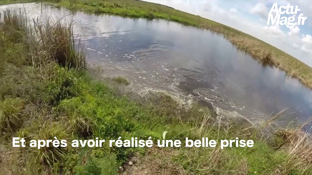 Un pêcheur se fait attaquer par un crocodile pendant une partie de pêche