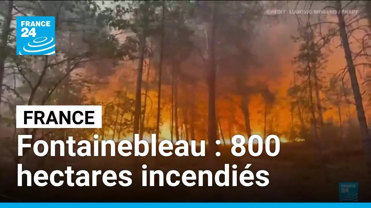 France : huit cent hectares incendiés à Fontainebleau, deux avions bombardiers déployés
