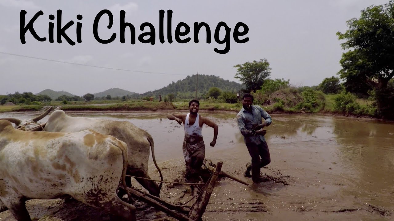 Kiki challenge village farmers style India | my village show