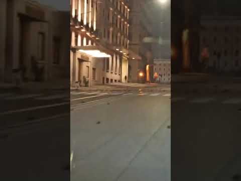 Birds Found Dead on Roman Street Following New Year's Eve Fireworks