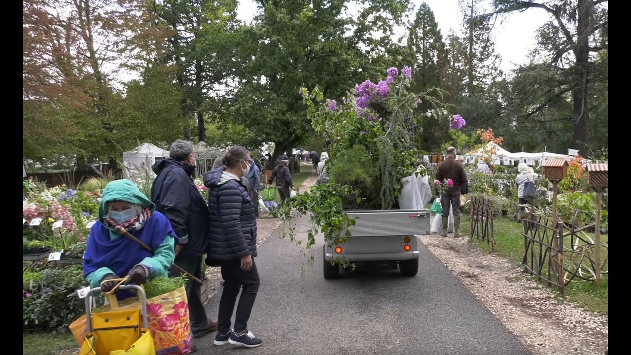Essonne : La 36e édition de la fête des plantes bat son plein à Saint-Jean-de-Beauregard