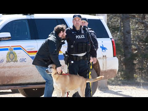 Canada : Une fusillade dans l'est du pays fait au moins 16 morts