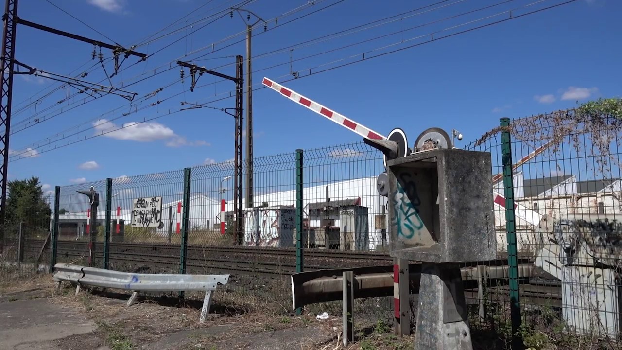 Le passage à niveau mort-vivant