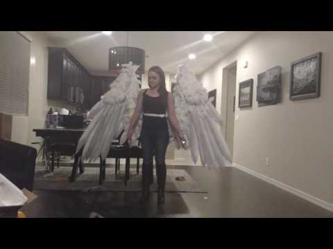 Wings demo