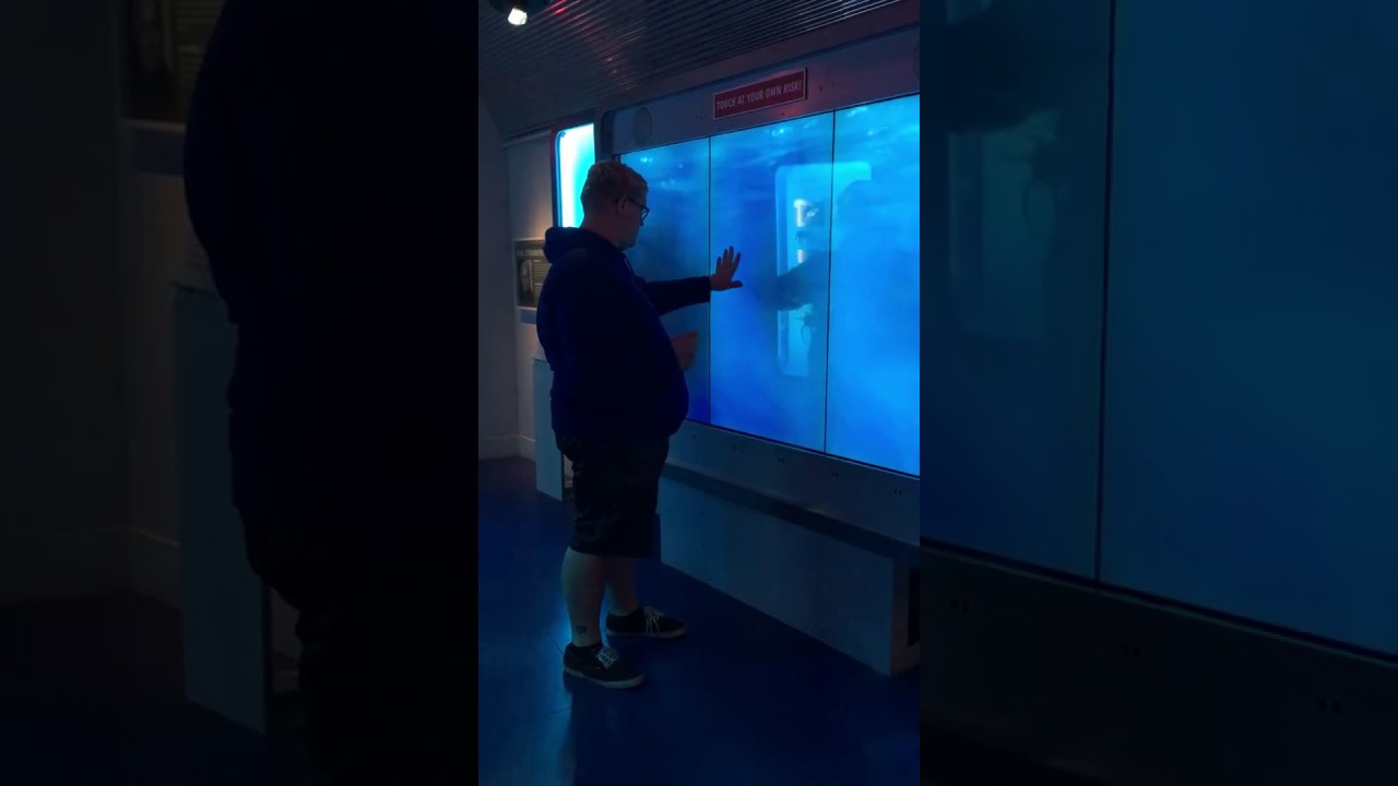 Touch at Your Own Risk