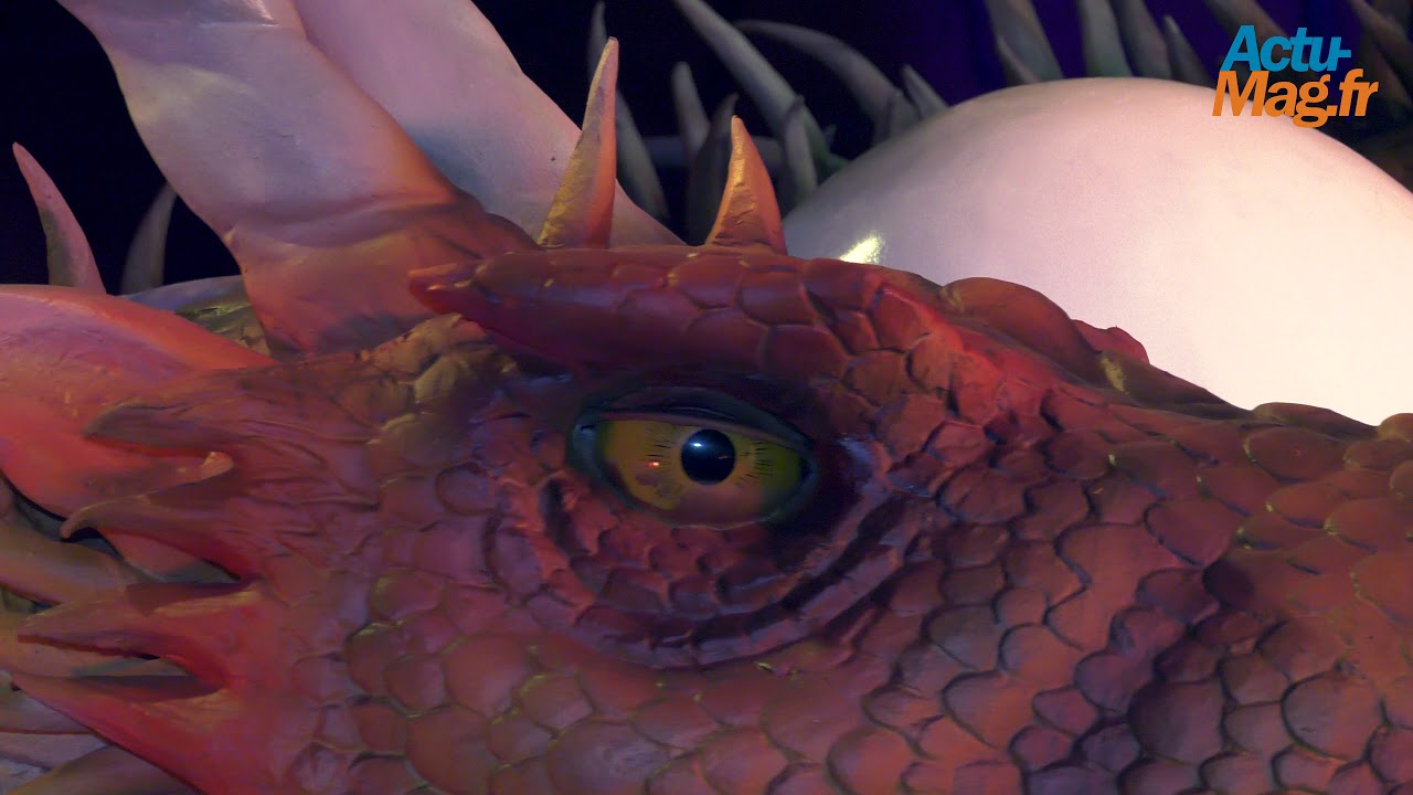 Reportage sur l'exposition Dragonland à Paris