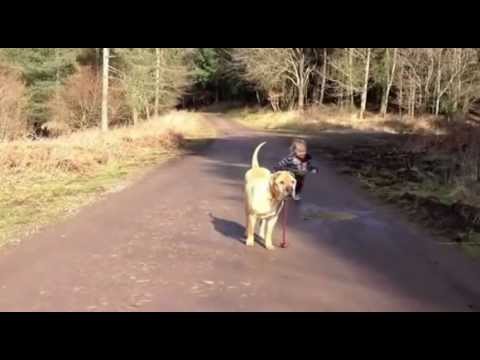 enfant et le chien - Child and Dog - Kind und Hund