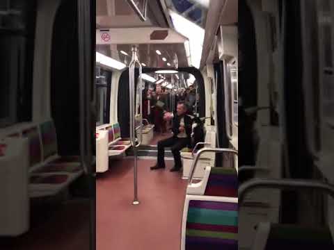 Il a volé la chèvre du Jardin des Tuileries - Métro 1