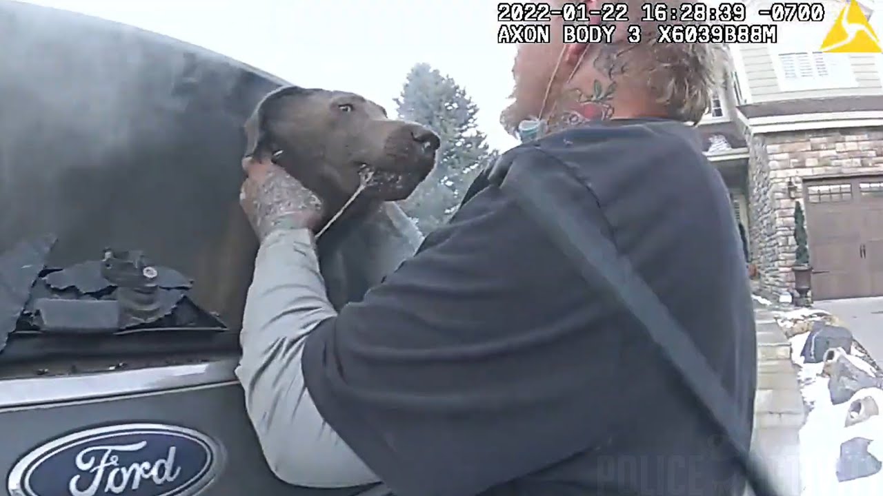 Bodycam Shows Douglas County Deputy Saving Dog From Burning Car