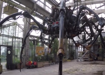 L’Araignée géante arrive à Nantes !