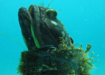Le 1er musée sous-marin d’Europe fait un hommage touchant aux migrants