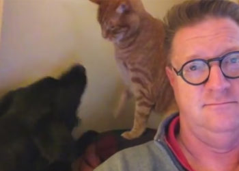Il diffuse une vidéo de son quotidien avec son chien et son chat !