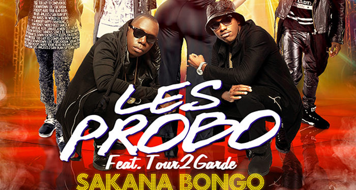 Zoom sur le phénomène « Les Probo » et leur clip « Sakana Bongo »