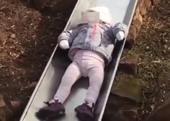 Regardez ce bébé qui est le plus lent au monde à descendre un toboggan !