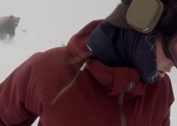 Une snowboardeuse se filme et ignore complètement qu&rsquo;elle est poursuivie… par un ours !