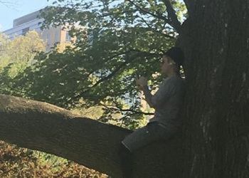 Le comportement surprenant de Justin Bieber en train de méditer dans … un arbre !