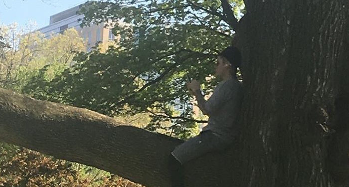 Le comportement surprenant de Justin Bieber en train de méditer dans … un arbre !