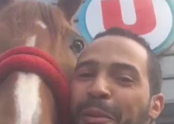 Alsace : (Vidéo) Il rentre avec son cheval dans un magasin Super U