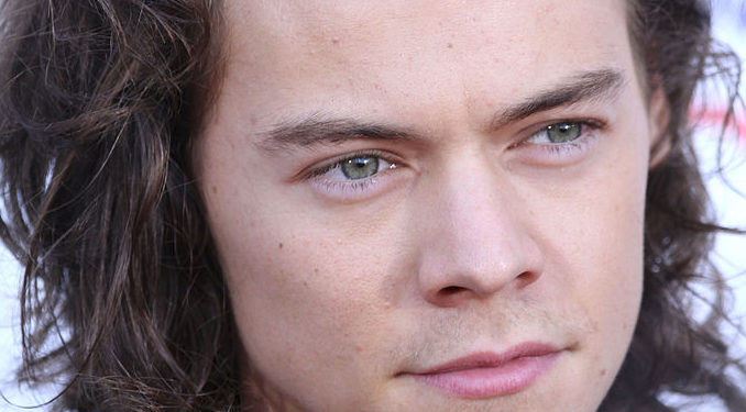 Un jeune homme ressemblant à Harry Styles crée l’émeute à chacune de ses sorties !