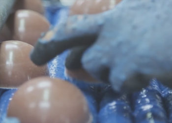 Savez-vous comment sont fabriquées les balles de tennis ?