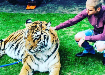 Justin Bieber : Il est interdit de selfies avec des gros chats au Canada !
