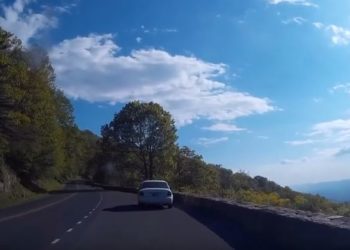 États-Unis : Il pensait trouver un point idéal pour faire des photos mais il découvre à la place un couple en train de…