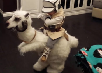 Découvrez le costume incroyable d&rsquo;un enfant chevauchant un Tauntaun de Star Wars pour Halloween