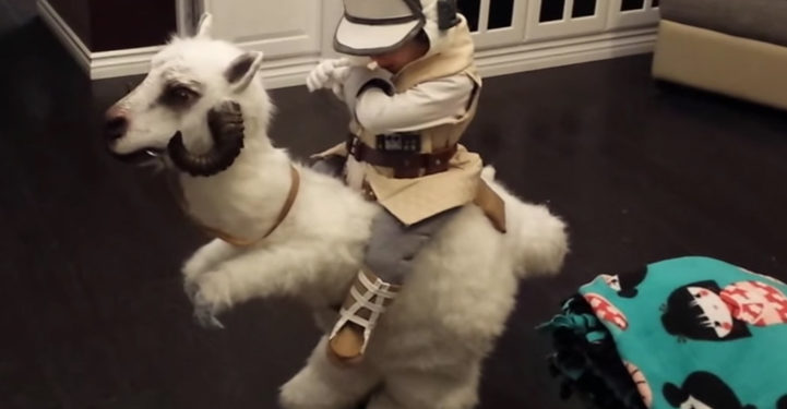 Découvrez le costume incroyable d’un enfant chevauchant un Tauntaun de Star Wars pour Halloween