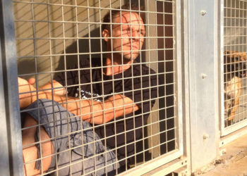 Rémi Gaillard s&rsquo;engage de nouveau dans la cause animale en souhaitant s&rsquo;enfermer dans une cage de la SPA 24H/24 !