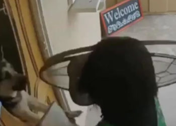 (Video) Au moment où elle dépose un prospectus, une mauvaise surprise l&rsquo;attend devant cette porte !