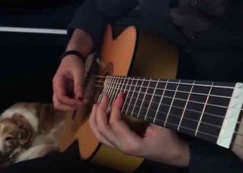 Regardez la magnifique reprise à la guitare du titre « Careless Whisper » de George Michael