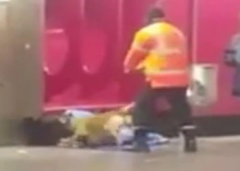 Paris : La RATP ouvre une enquête après la violente agression commise sur un SDF par un maître-chien