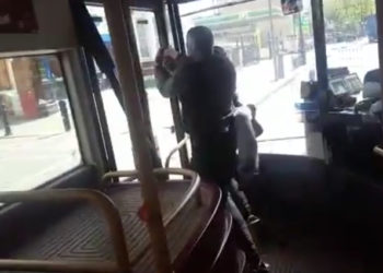 High-tech-jeux-videos - Le studio français derrière le jeu vidéo « Darwin's Paradox. » boucle une nouvelle levée de fonds - Les Echos Cette information attire particulièrement l’attention..