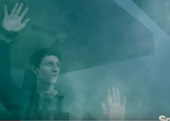 The Mist