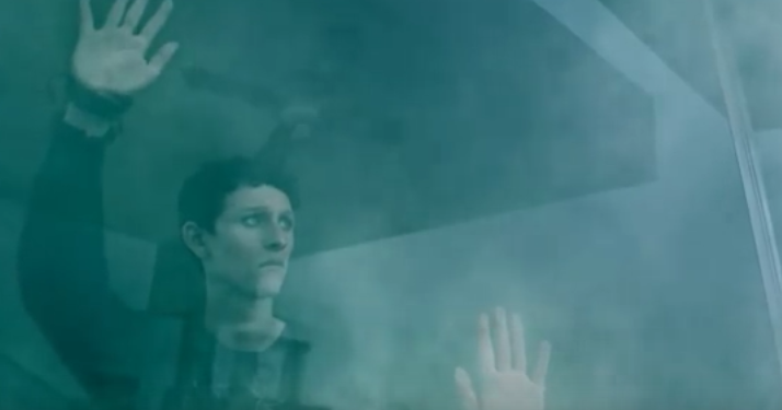 The Mist