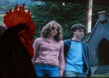 coq