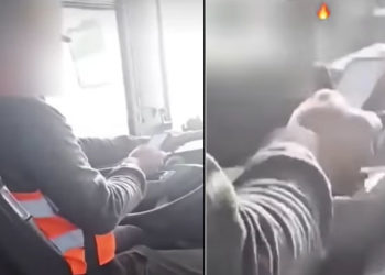 bus