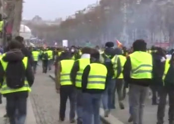gilets jaunes