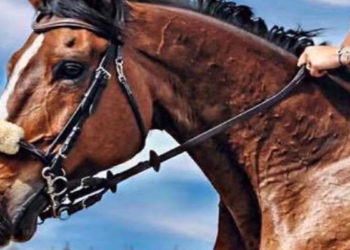 cheval