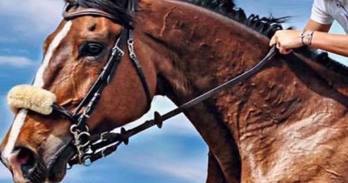 cheval